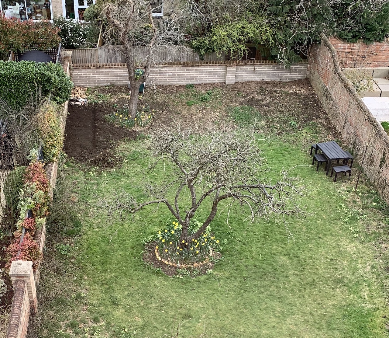 The garden in March