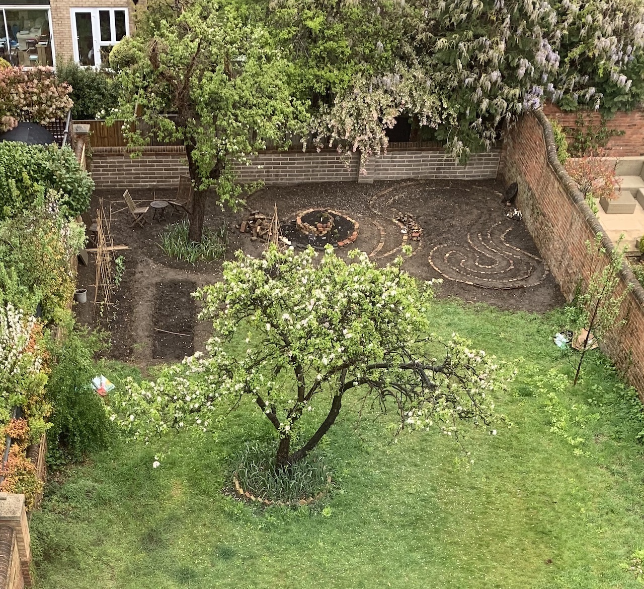 The garden this morning